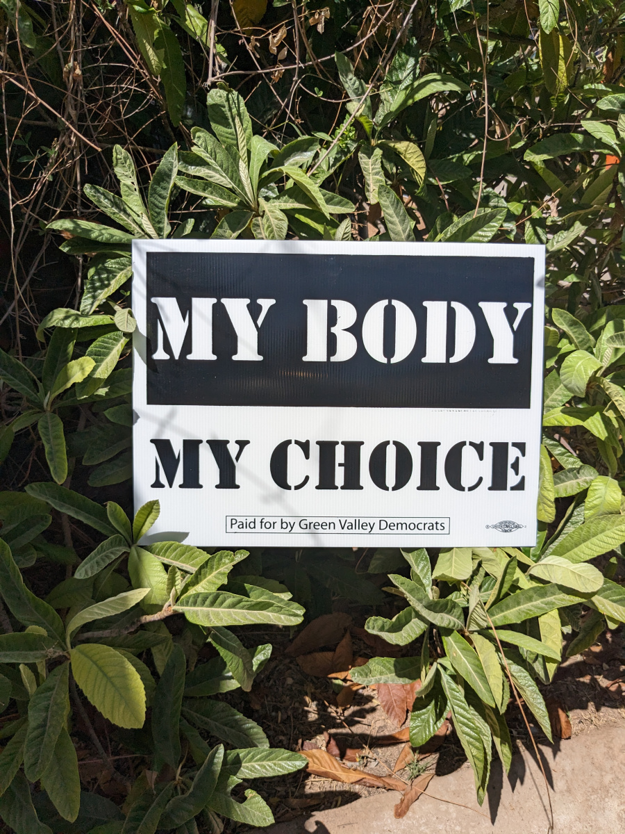 my body my choice yard sign